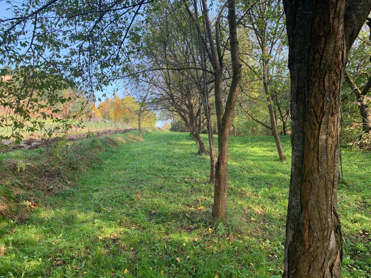 Conacul Maramuresean Bilgar Bogdan Vodă Exterior photo